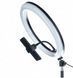 Кольорова селфі кільцева лампа MJJ-33 USB LED RGB + тримач 900257 фото 1